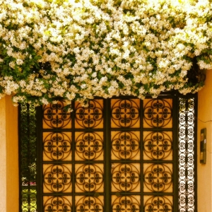 Social Media ABC I de Instagram